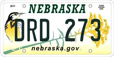 NE license plate DRD273