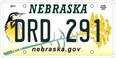 NE license plate DRD291