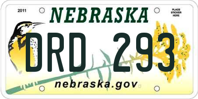 NE license plate DRD293