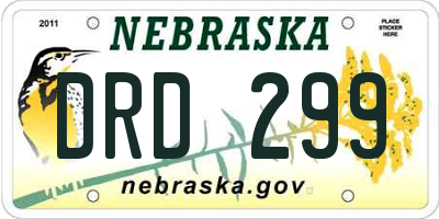 NE license plate DRD299