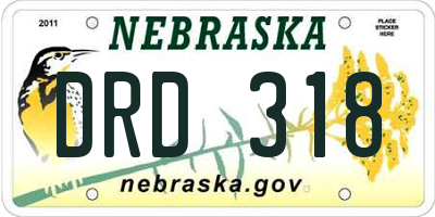 NE license plate DRD318