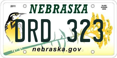 NE license plate DRD323