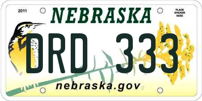 NE license plate DRD333