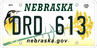 NE license plate DRD613