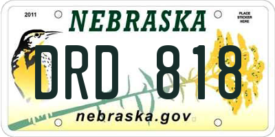 NE license plate DRD818