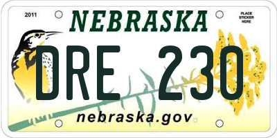 NE license plate DRE230