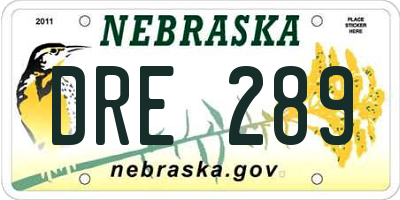 NE license plate DRE289