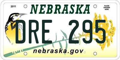 NE license plate DRE295