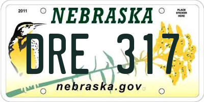 NE license plate DRE317