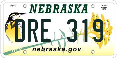 NE license plate DRE319