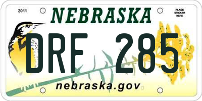 NE license plate DRF285