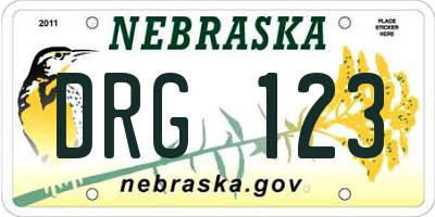 NE license plate DRG123