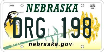 NE license plate DRG198