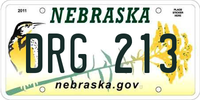 NE license plate DRG213