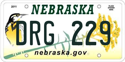 NE license plate DRG229