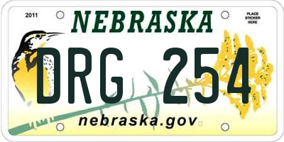 NE license plate DRG254