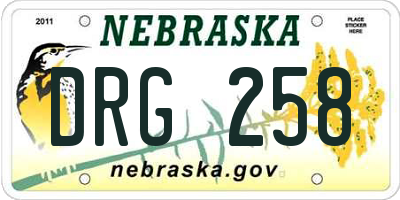NE license plate DRG258