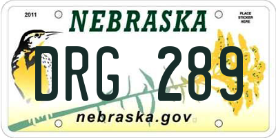 NE license plate DRG289