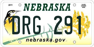 NE license plate DRG291