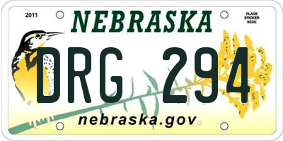 NE license plate DRG294
