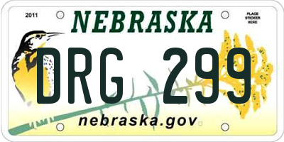 NE license plate DRG299