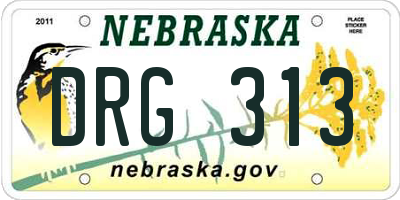 NE license plate DRG313