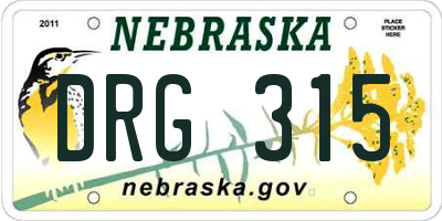 NE license plate DRG315