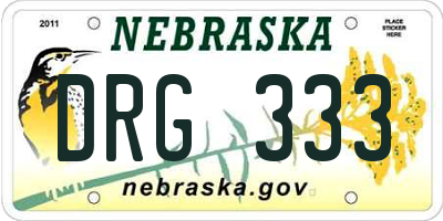 NE license plate DRG333