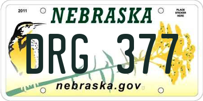 NE license plate DRG377
