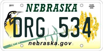 NE license plate DRG534