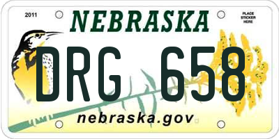 NE license plate DRG658