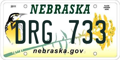 NE license plate DRG733