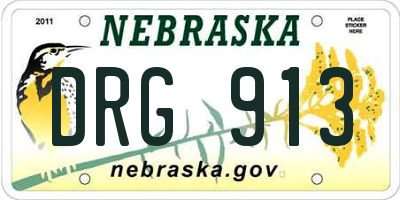 NE license plate DRG913