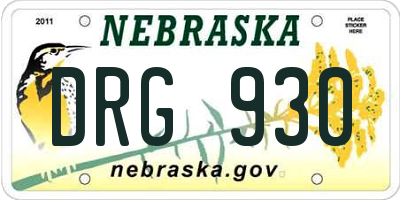 NE license plate DRG930