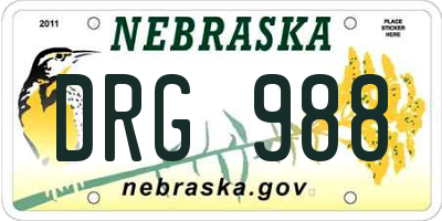 NE license plate DRG988