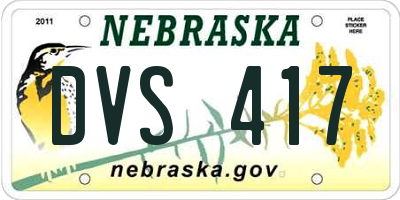 NE license plate DVS417