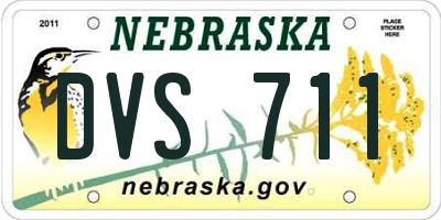 NE license plate DVS711