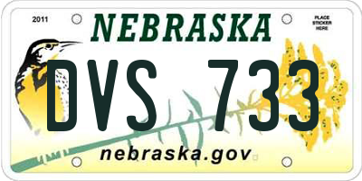 NE license plate DVS733