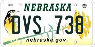 NE license plate DVS738