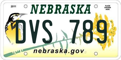 NE license plate DVS789