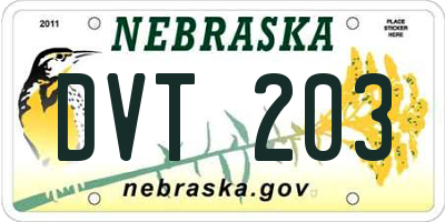 NE license plate DVT203