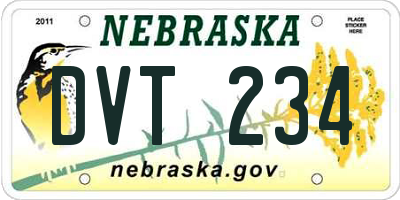NE license plate DVT234