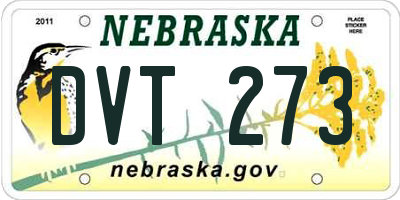 NE license plate DVT273