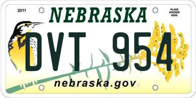 NE license plate DVT954