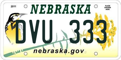 NE license plate DVU333
