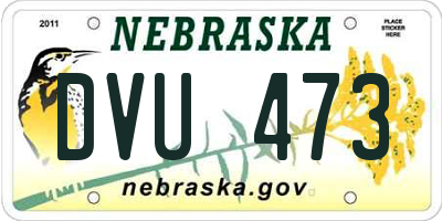 NE license plate DVU473