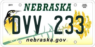 NE license plate DVV233