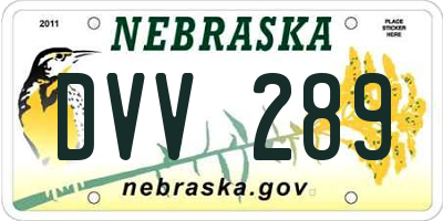 NE license plate DVV289