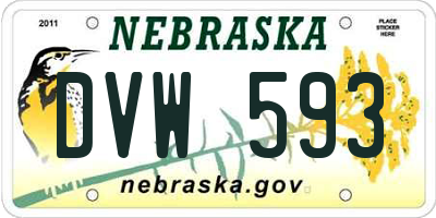 NE license plate DVW593