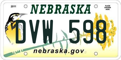 NE license plate DVW598